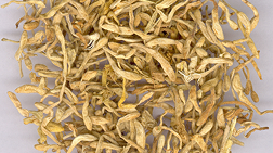 image 13 (1).png